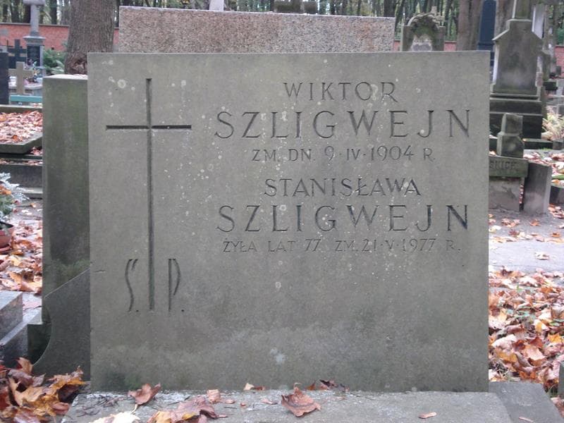 Zdjęcie grobu Stanisława Szligwejn (2)