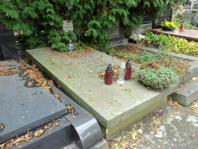 Zdjęcie grobu Antoni Danilewicz (1)