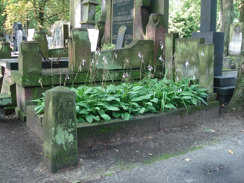 Zdjęcie grobu Jan Maciejewski (1)
