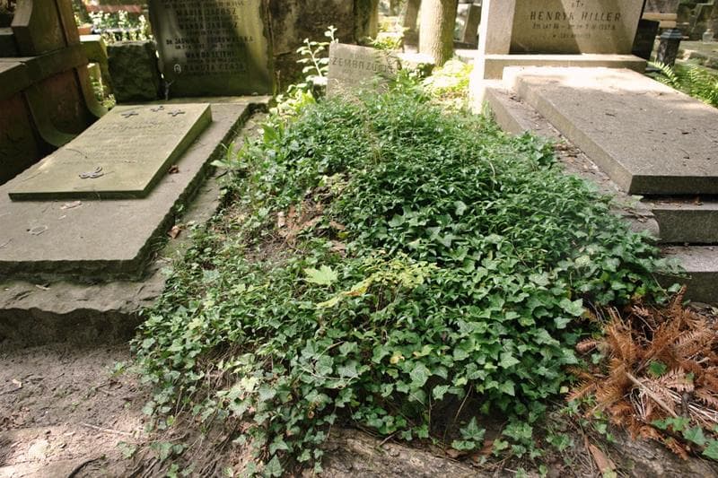 Zdjęcie grobu Stanisław Zembrzuski (1)