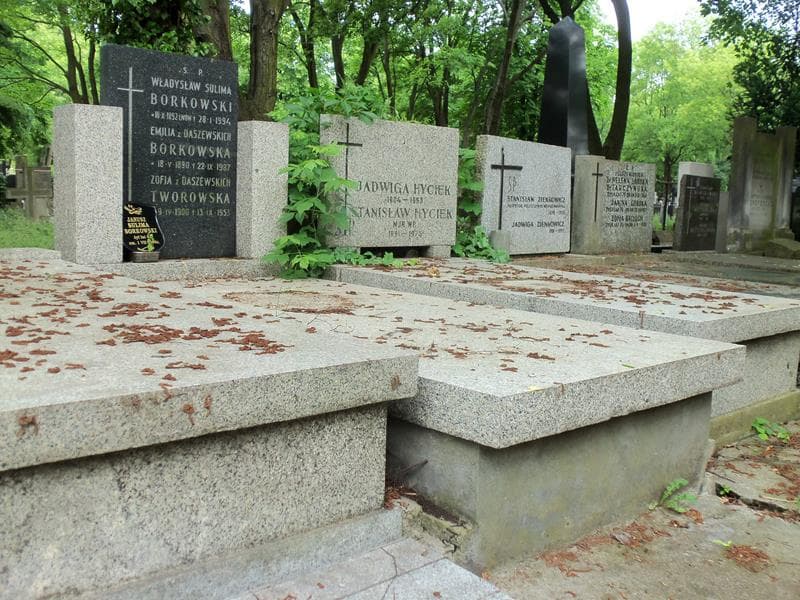 Zdjęcie grobu Emilia Borkowska (1)