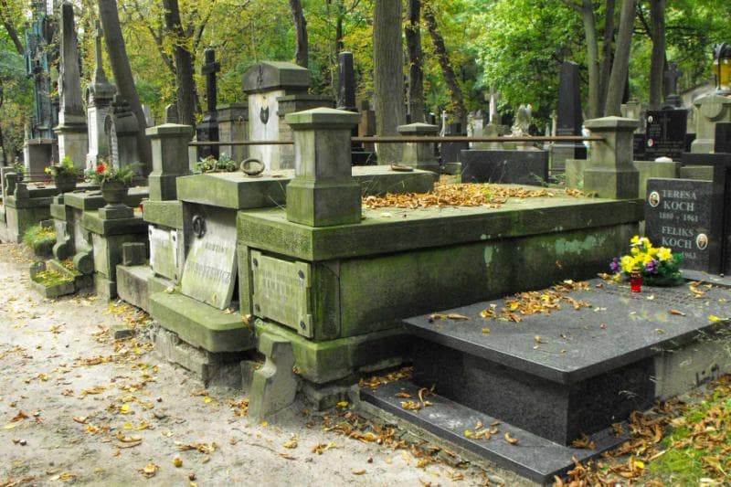 Zdjęcie grobu Horoszewiczowie (1)