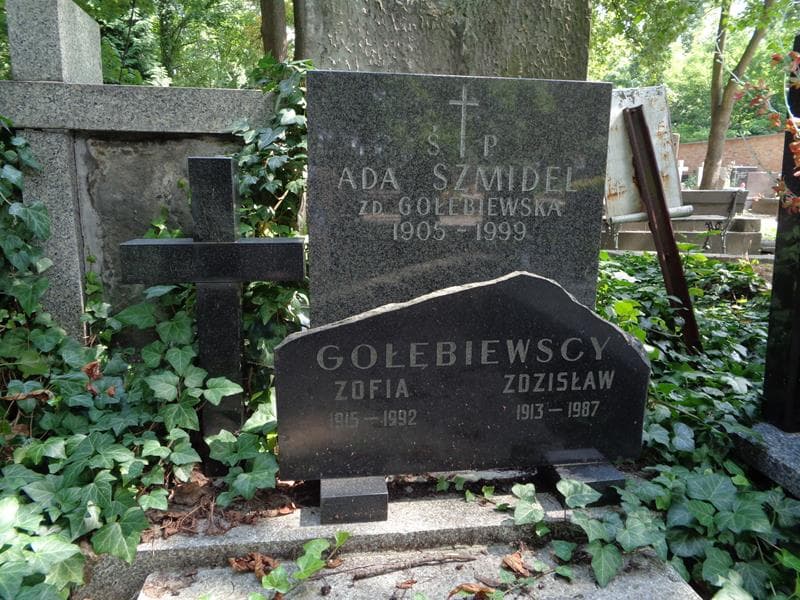 Zdjęcie grobu Zofia Gołębiewska (1)