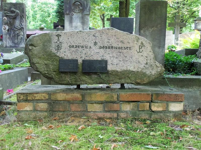 Zdjęcie grobu Maria Cecylia Drzewica Dobrowolska (2)