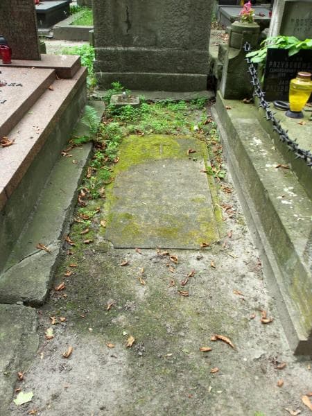 Zdjęcie grobu: Ludwika Chrząszcz