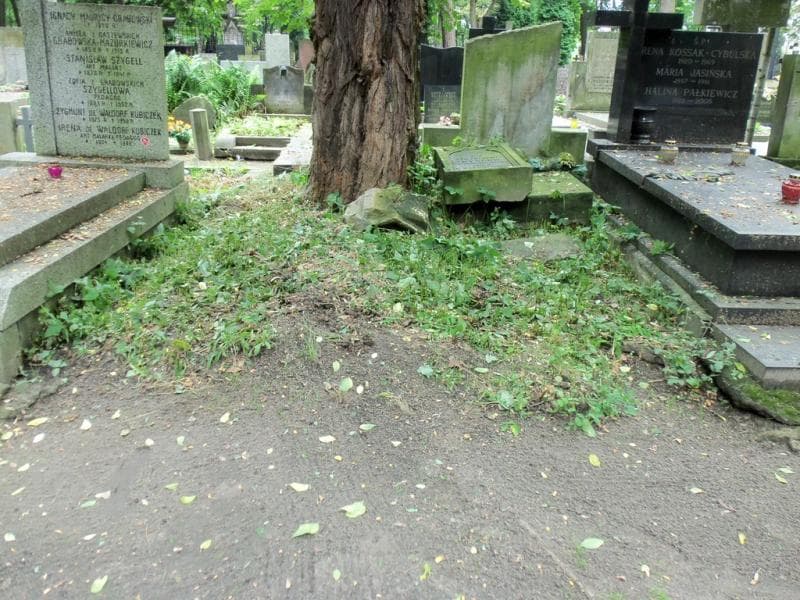 Zdjęcie grobu: Seweryn Odyniec
