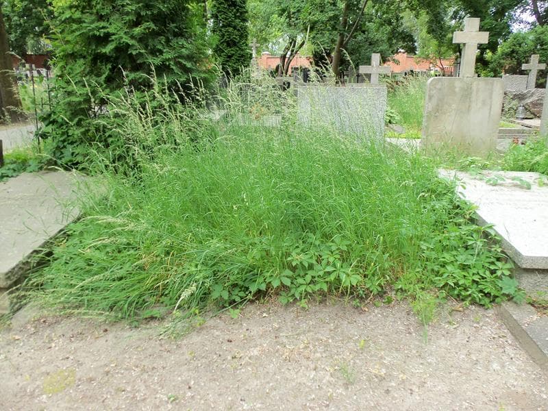 Zdjęcie grobu: Pole Grobowe