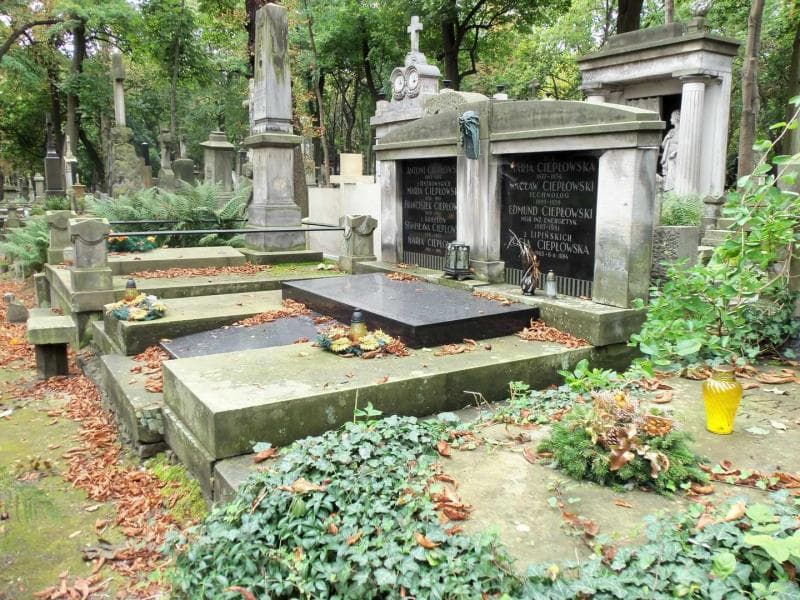 Zdjęcie grobu Stanisława Ciepłowska (1)