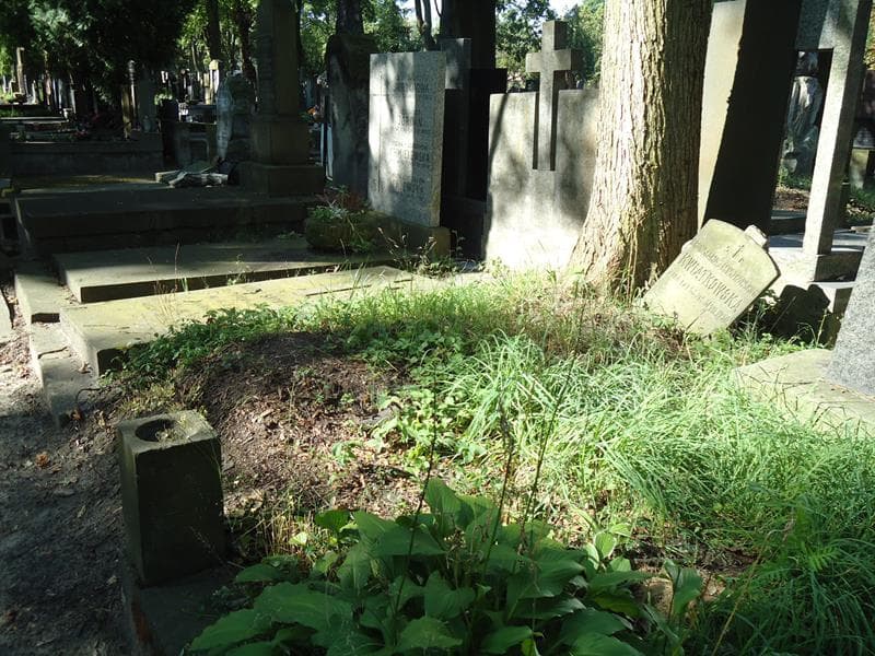 Zdjęcie grobu Bronisława Kwiatkowska (1)