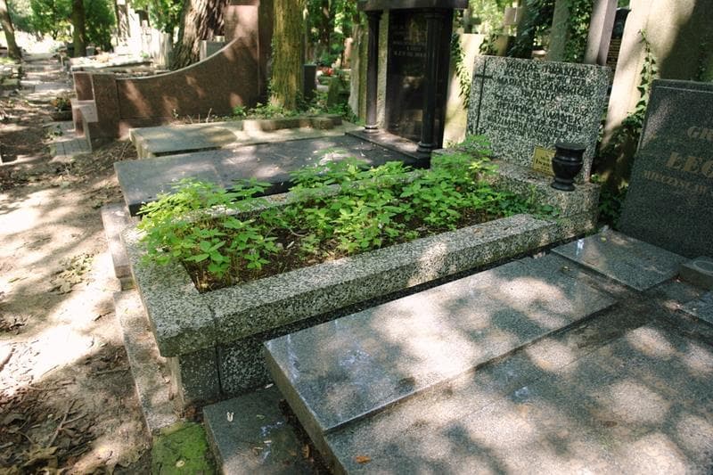 Zdjęcie grobu: Henryka Iwanek