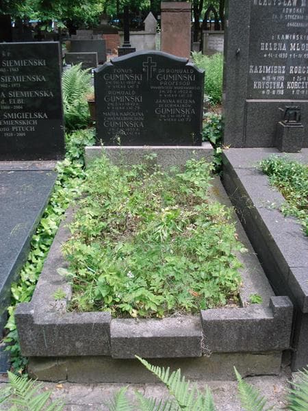 Zdjęcie grobu Fonuś Gumiński (1)