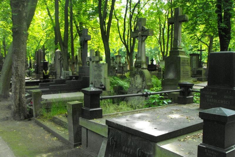Zdjęcie grobu: Albertyna Maciejewska