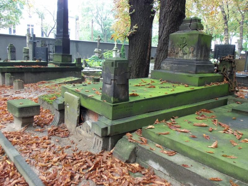 Zdjęcie grobu Dziekonscy (1)