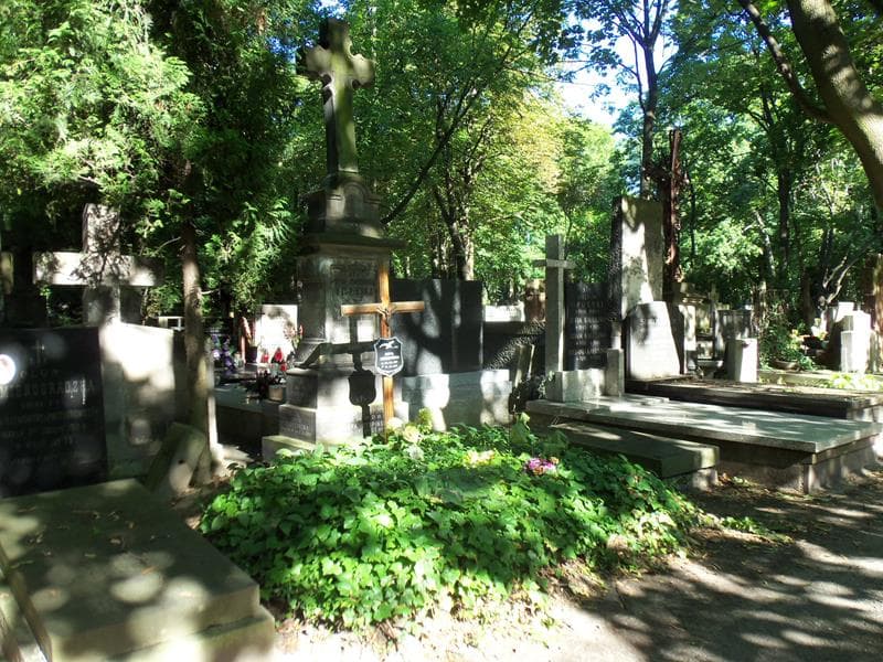 Zdjęcie grobu Zofia Leszczyńska (1)