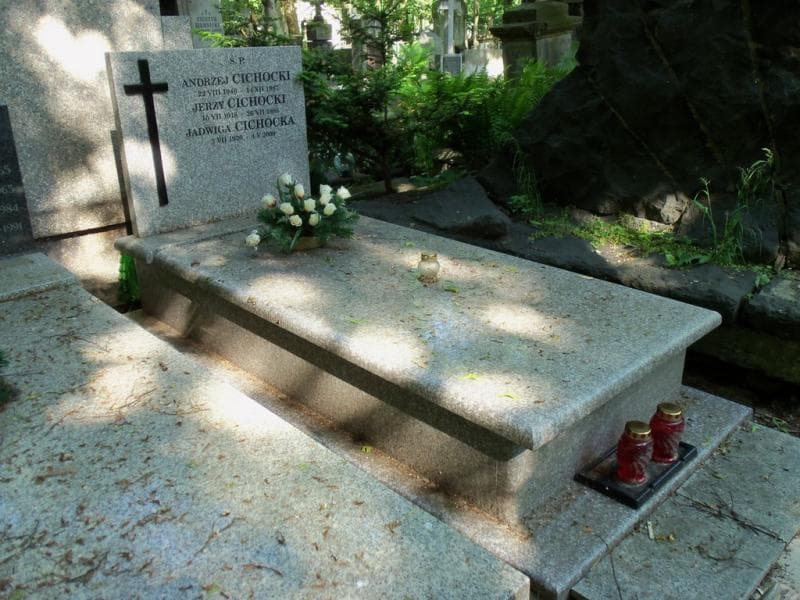 Zdjęcie grobu Jadwiga Cichocka (1)