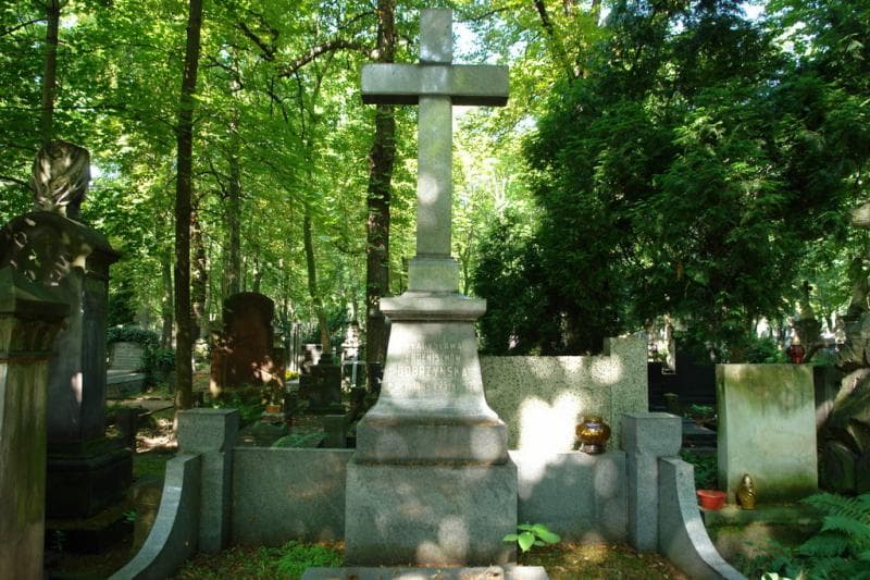 Zdjęcie grobu Władysław Dobrzyński (2)