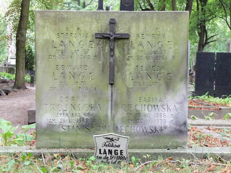 Zdjęcie grobu Edward Lange (2)