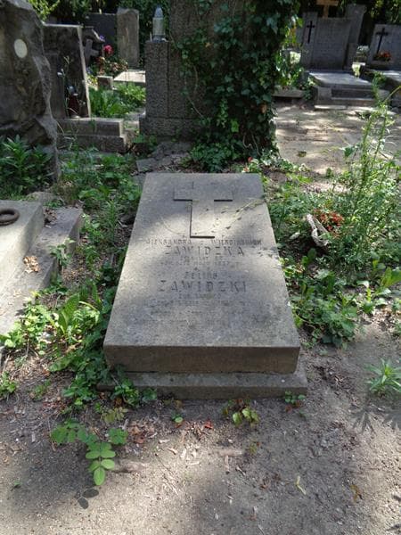 Zdjęcie grobu Feliks Zawidzki (1)