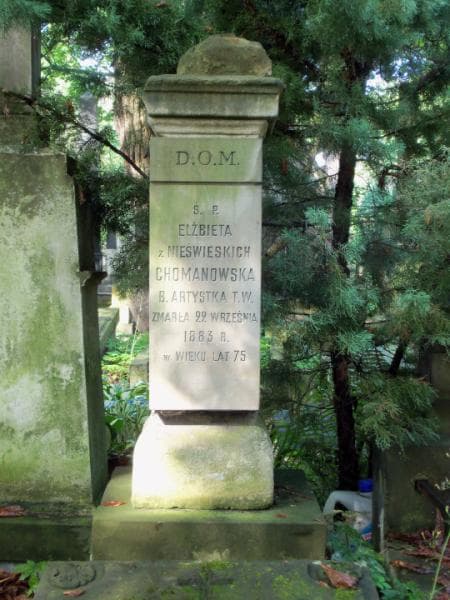Zdjęcie grobu Jan Chomanowski (2)