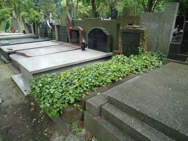 Zdjęcie grobu Teodor Cetys (1)