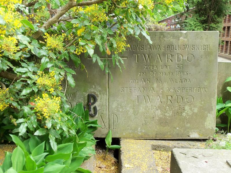 Zdjęcie grobu Władysław Twardo (2)
