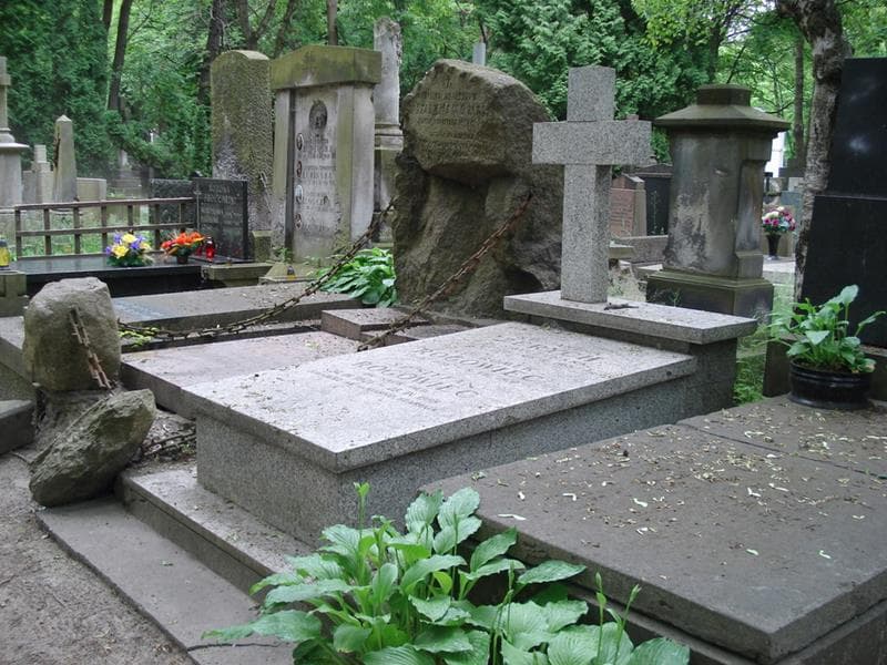 Zdjęcie grobu Janina Zerych (2)