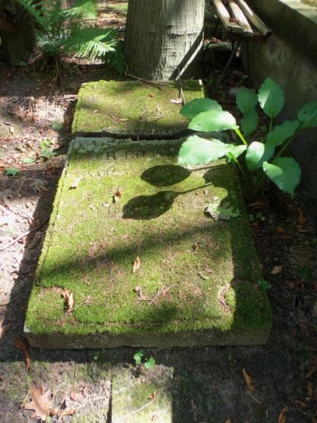 Zdjęcie grobu Franciszek Orłowski (1)