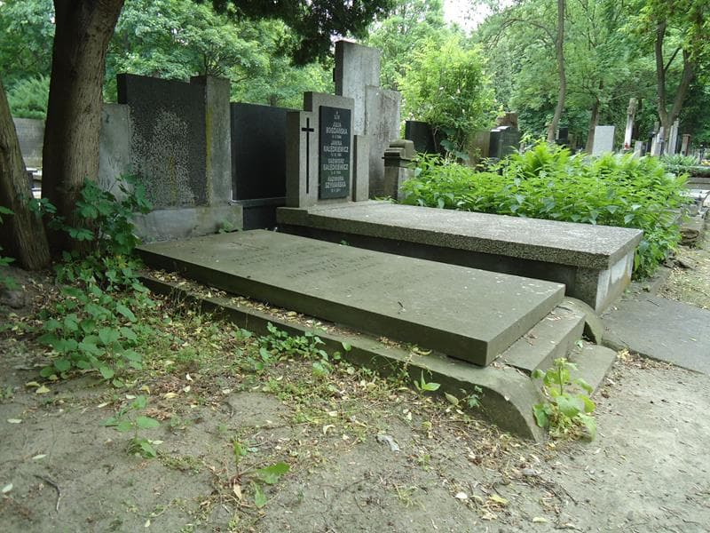 Zdjęcie grobu Andrzej Doroszewski (2)