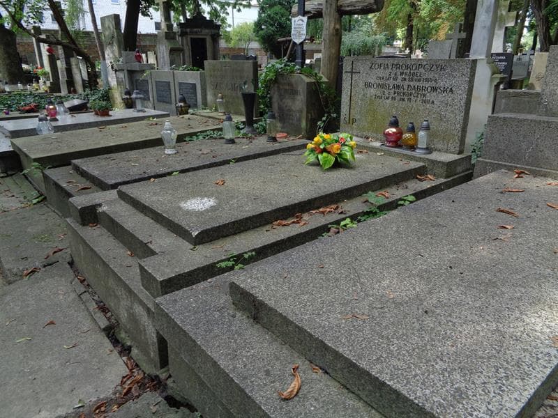 Zdjęcie grobu: Stanisława Dąbrowska