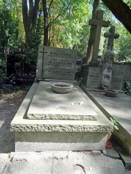 Zdjęcie grobu Włodzimierz Olejniszyn (1)