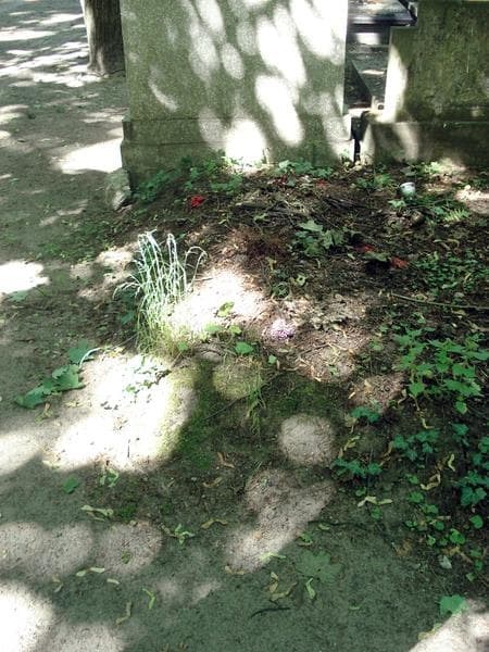Zdjęcie grobu: Pole Grobowe