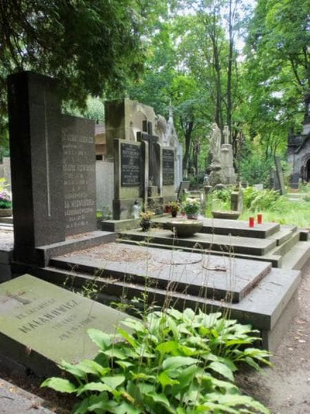 Zdjęcie grobu Cezarjusz Niewiński (1)