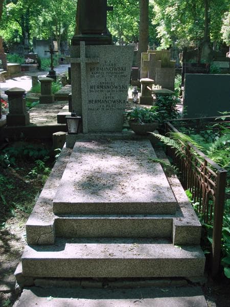 Zdjęcie grobu Andrzej Hermanowski (1)