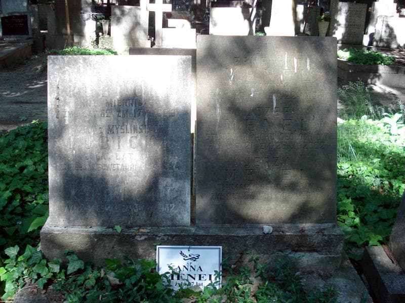 Zdjęcie grobu Stanisław Kubicki (1)