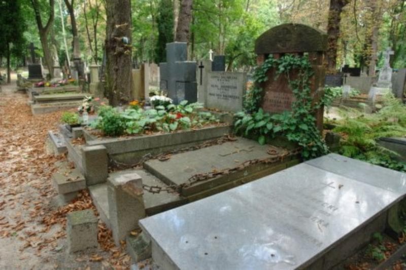Zdjęcie grobu Anna Dobrowolska (1)