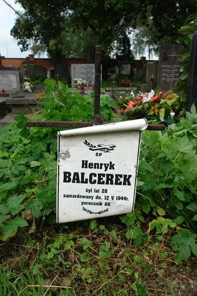 Zdjęcie grobu Henryk Balcerek (2)