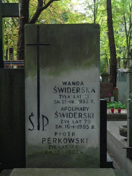 Zdjęcie grobu Piotr Perkowski (2)
