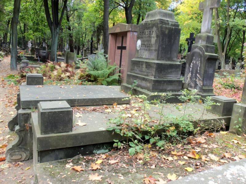 Zdjęcie grobu Franciszka Rydzyńska (1)