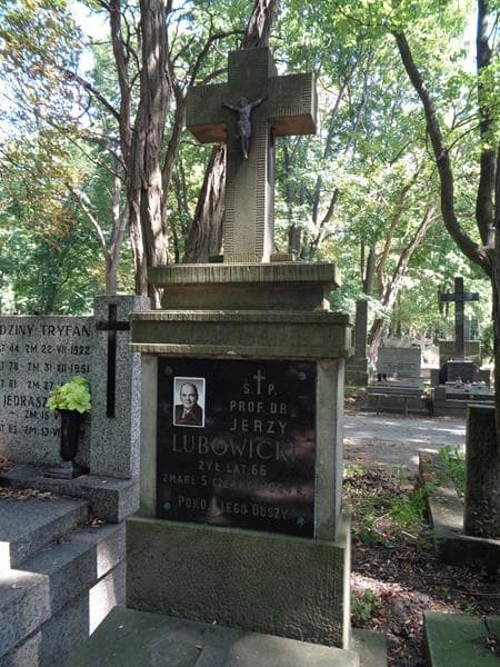 Zdjęcie grobu Jerzyk Lubowicki (2)