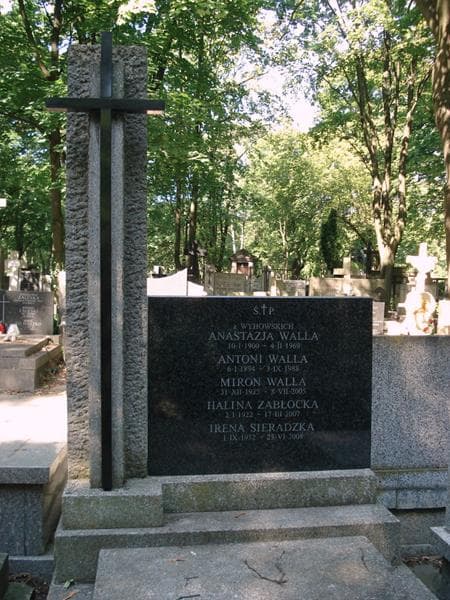 Zdjęcie grobu Miron Walla (2)