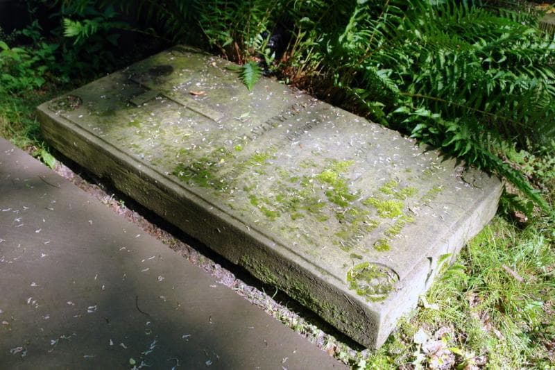 Zdjęcie grobu Józef Jelczewski (2)