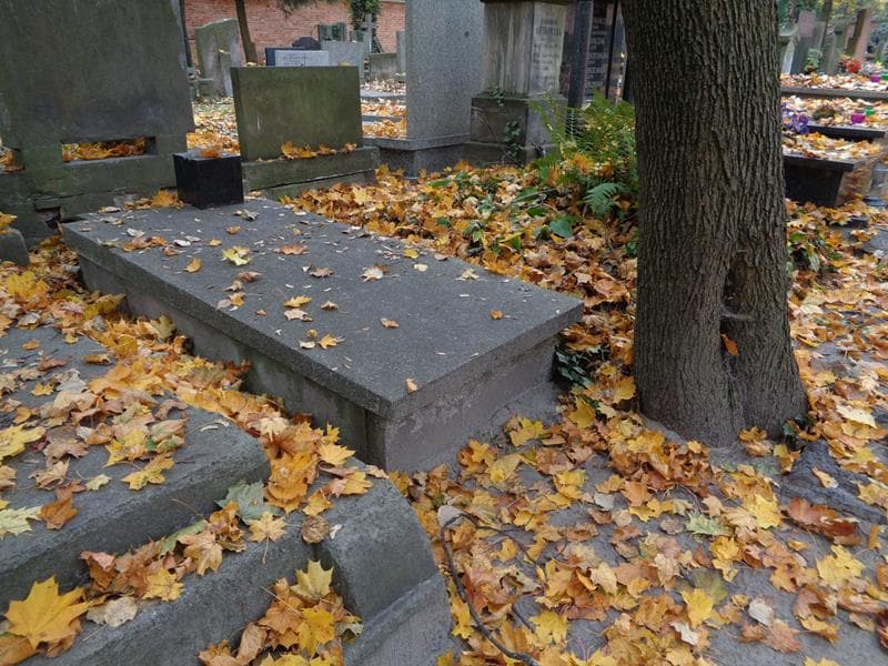 Zdjęcie grobu: Bieliccy