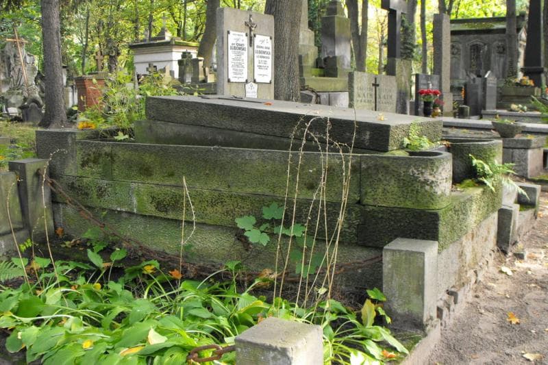 Zdjęcie grobu Witold Alf. Habdank - Górkiewicz (1)