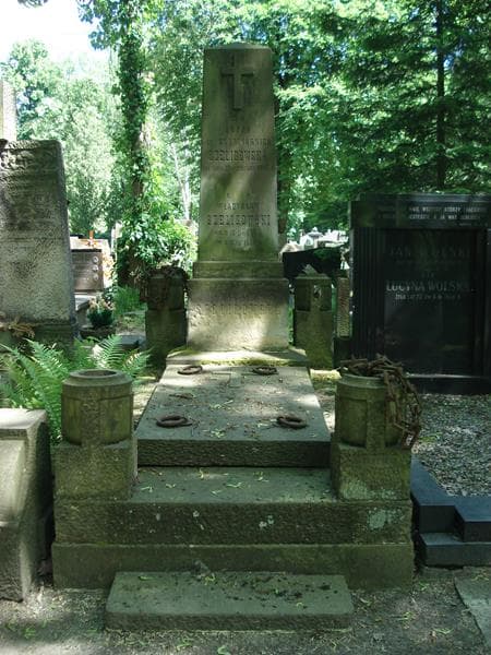 Zdjęcie grobu: Władysław Szeligowski