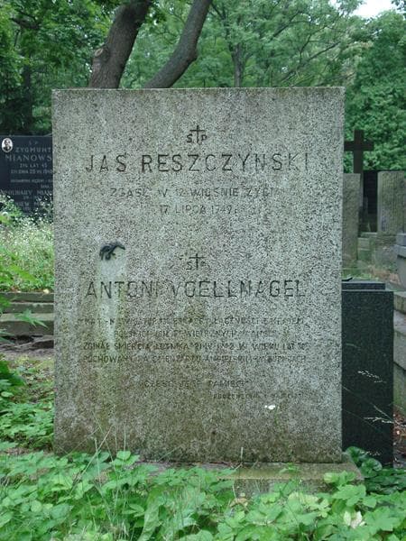 Zdjęcie grobu Antoni Voellnagel (2)