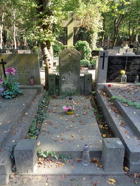 Zdjęcie grobu: Józef Jaworski Olszewski