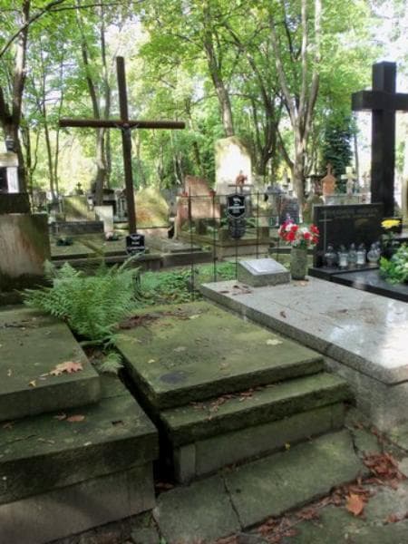 Zdjęcie grobu Janina Czerniewska (1)
