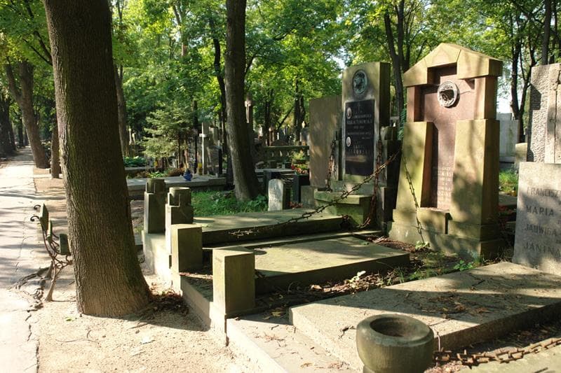 Zdjęcie grobu Wanda Koźmińska (1)
