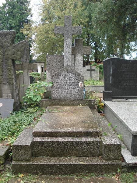 Zdjęcie grobu: Albin Fronczak