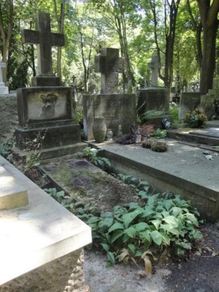 Zdjęcie grobu Janina Dowgint-Nieciuńska (1)